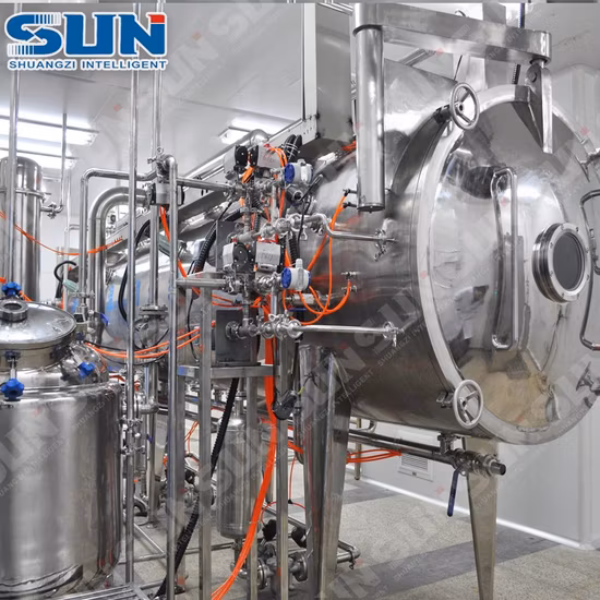 Herb Extract/Plant Extract Continuous Vacuum Belt Dryer