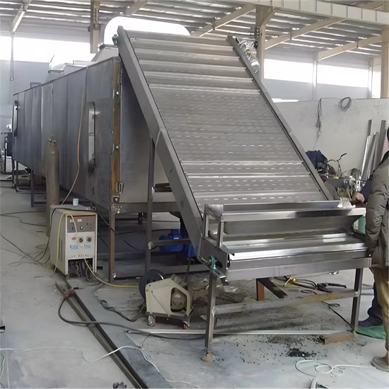 Continuous Industrial Conveyor Mesh Belt Dryer for Fruit Vegetable
